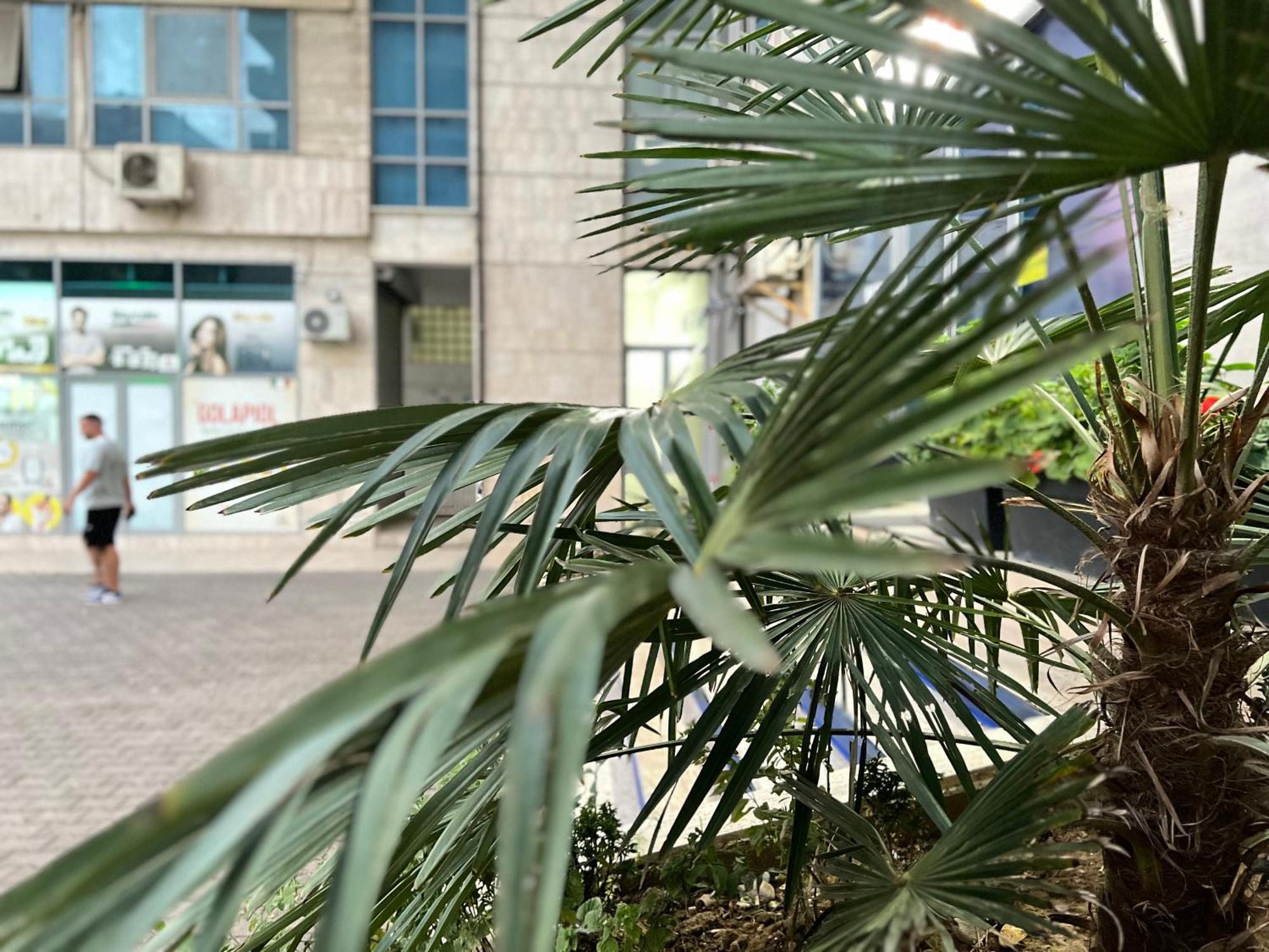 New Baazar Terrace Apartment Тирана Екстериор снимка